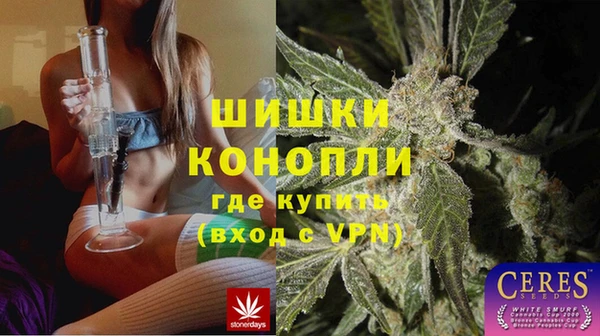 дмт Горнозаводск