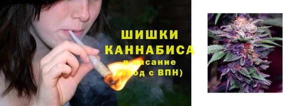 дмт Горнозаводск
