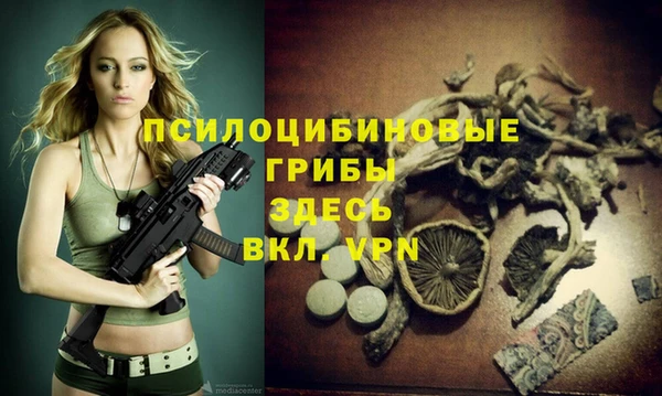 герыч Горняк