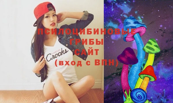 дмт Горнозаводск