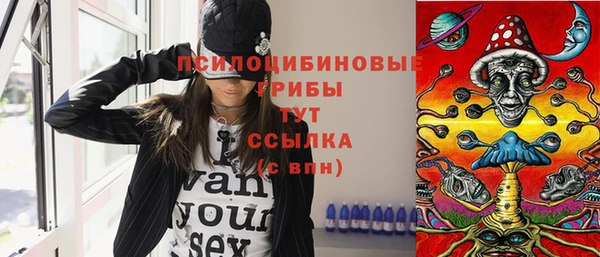 прущий лед Горно-Алтайск