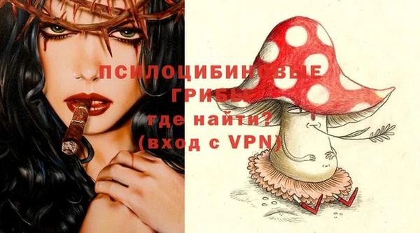 дмт Горнозаводск