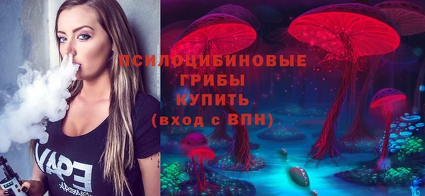дмт Горнозаводск